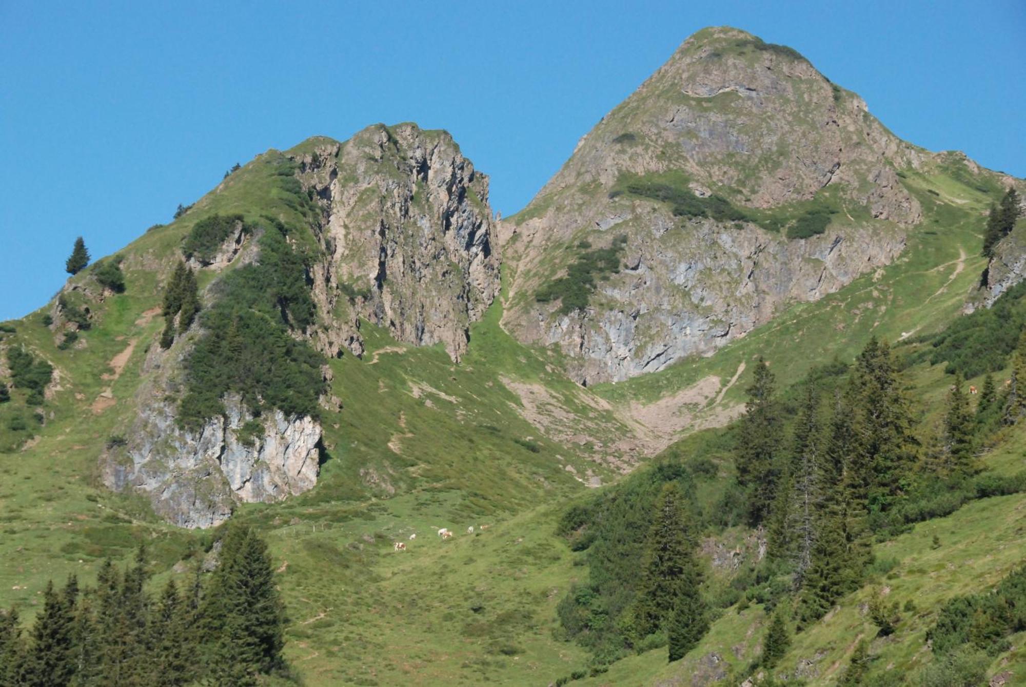 Erbhof Hinterrain Villa Leogang Exterior photo