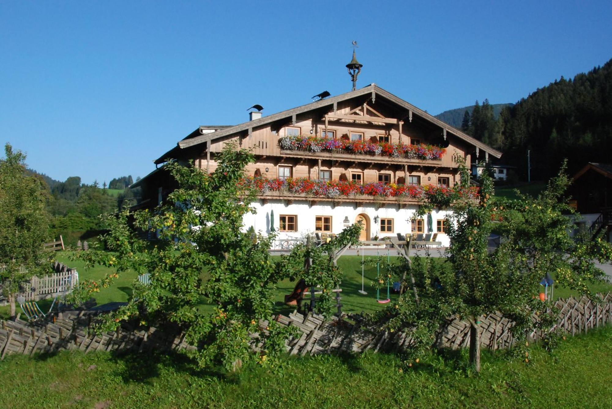 Erbhof Hinterrain Villa Leogang Exterior photo