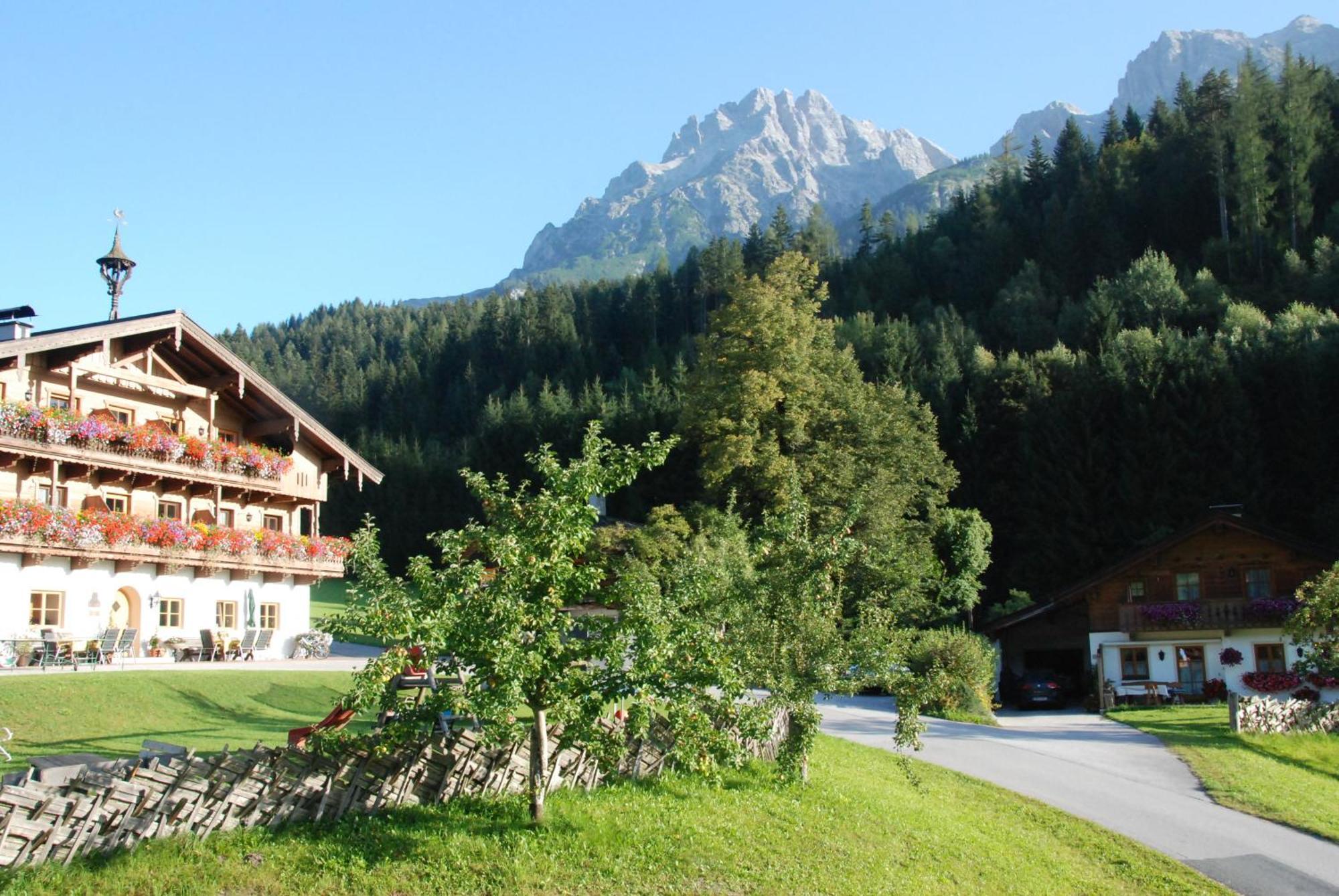Erbhof Hinterrain Villa Leogang Exterior photo